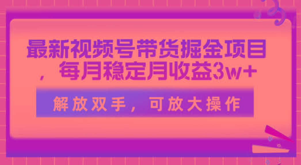 最新视频号带货掘金项目，每月稳定月收益3w+，解放双手，可放大操作-E网资源