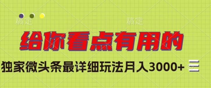 独家微头条最详细玩法，月入3000+【揭秘】-E网资源