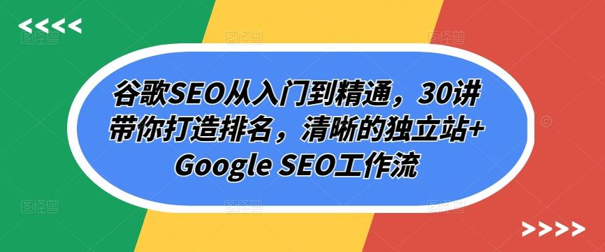 谷歌SEO从入门到精通，30讲带你打造排名，清晰的独立站+Google SEO工作流-E网资源