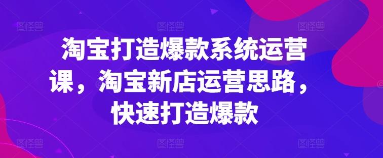 淘宝打造爆款系统运营课，淘宝新店运营思路，快速打造爆款-E网资源