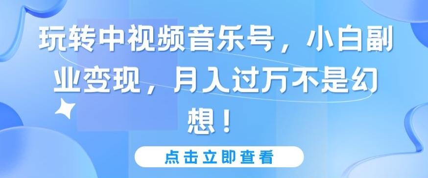 玩转中视频音乐号，小白副业变现，月入过万不是幻想【揭秘】-E网资源