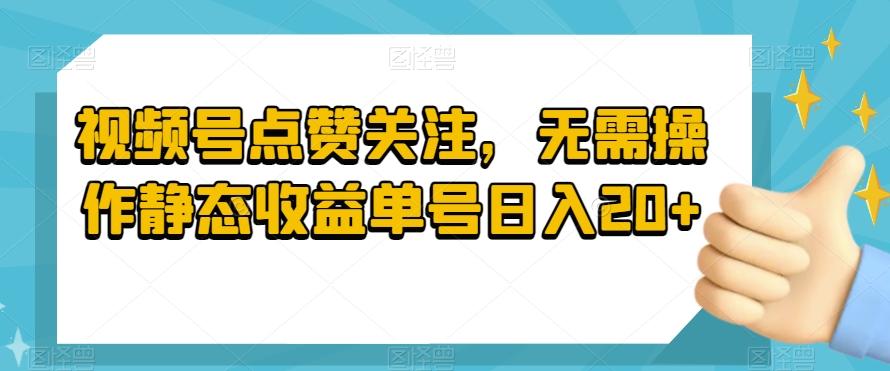 视频号点赞关注，无需操作静态收益单号日入20+-E网资源