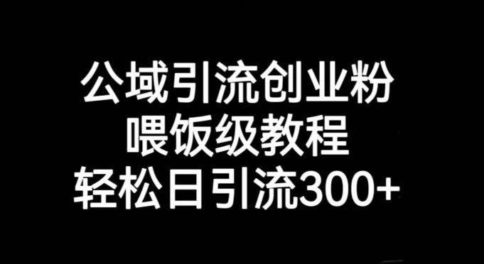 公域引流创业粉，喂饭级教程，轻松日引流300+【揭秘】-E网资源