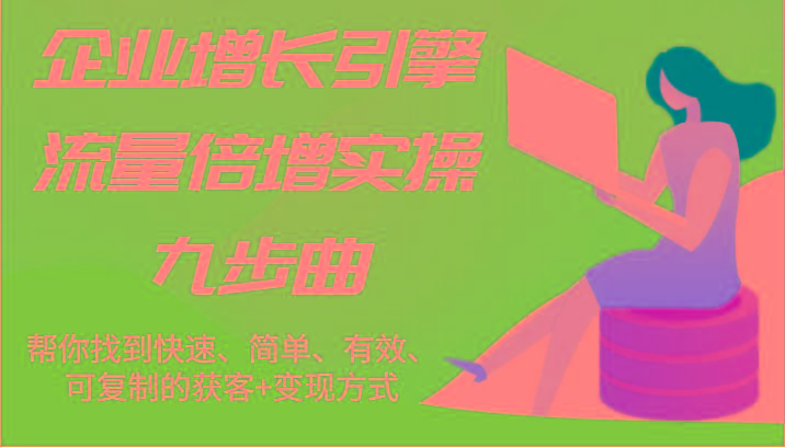 企业增长引擎流量倍增实操九步曲，帮你找到快速、简单、有效、可复制的获客+变现方式-E网资源
