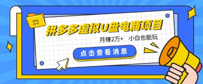 拼多多虚拟U盘电商红利项目：月赚2万+，新手小白也能玩-E网资源