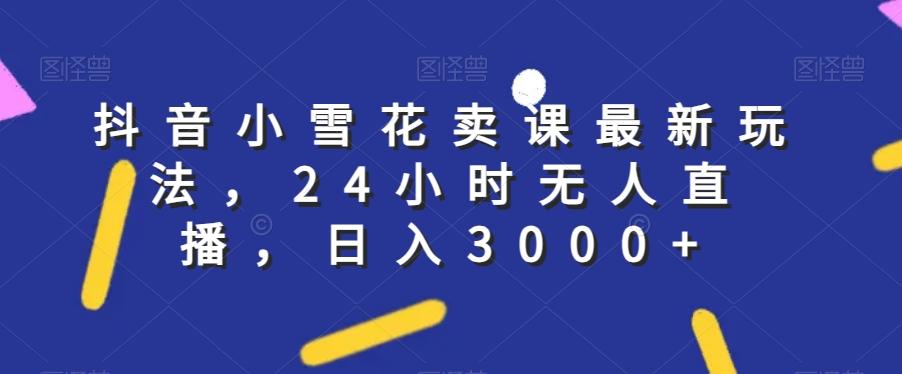 抖音小雪花卖课最新玩法，24小时无人直播，日入3000+【揭秘】-E网资源