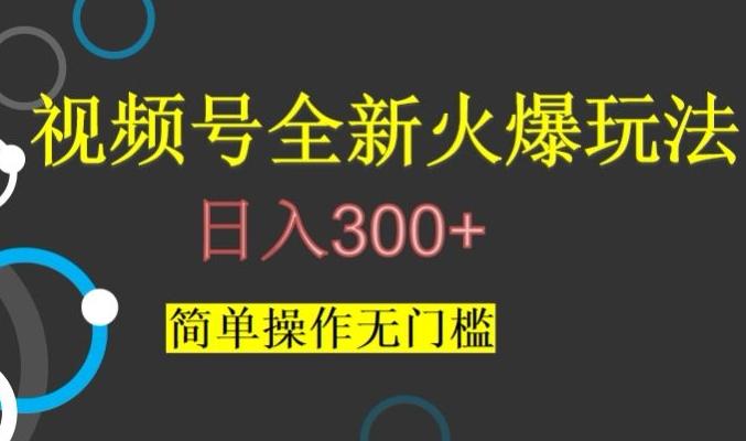 视频号最新爆火玩法，日入300+，简单操作无门槛【揭秘】-E网资源