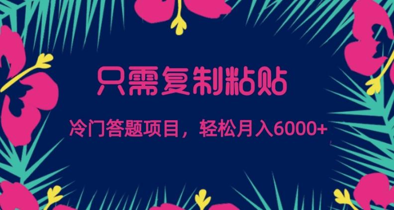 只需复制粘贴，冷门答题项目，轻松月入6000-E网资源