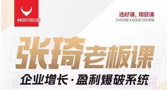 【组合课】张琦张琦老板企业增长·盈利爆破系统（直播专享）-E网资源