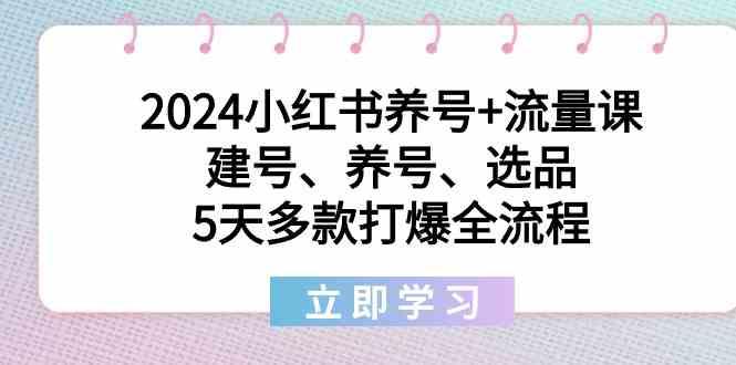 2024小红书养号+流量课：建号、养号、选品，5天多款打爆全流程-E网资源