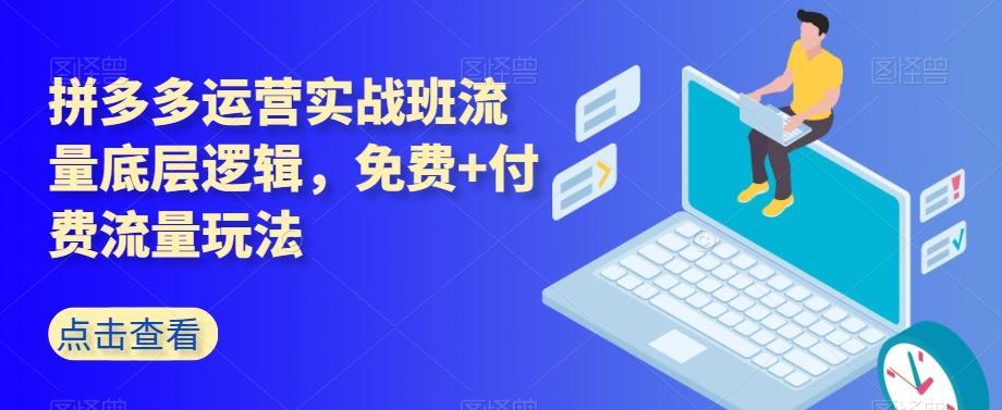 拼多多运营实战班流量底层逻辑，免费+付费流量玩法-E网资源