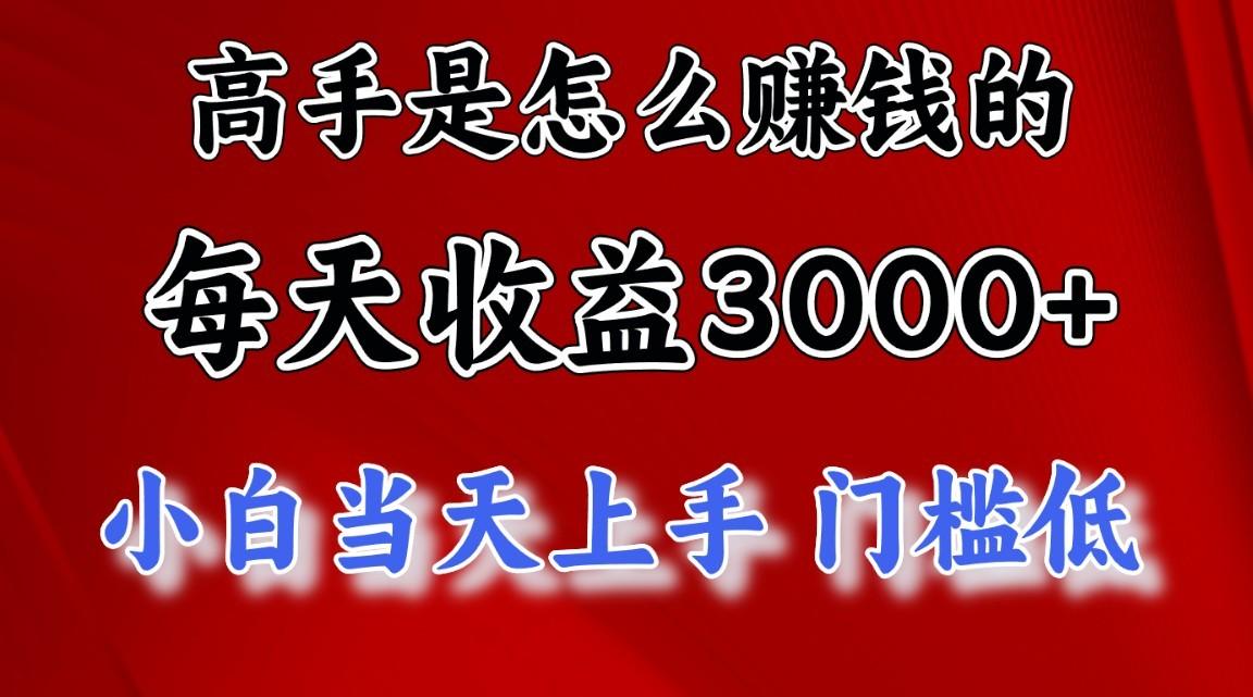 高手是怎么赚钱的，一天收益3000+，闷声发财项目，不是一般人能看懂的-E网资源
