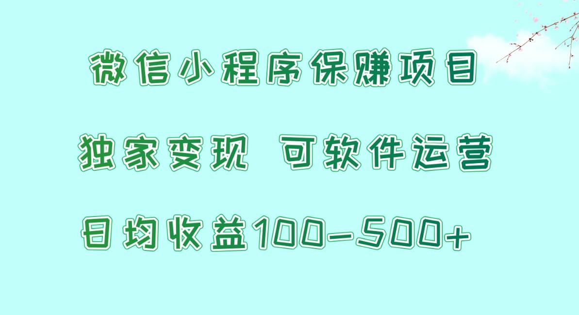 微信小程序保赚项目，日均收益100~500+，独家变现，可软件运营-E网资源