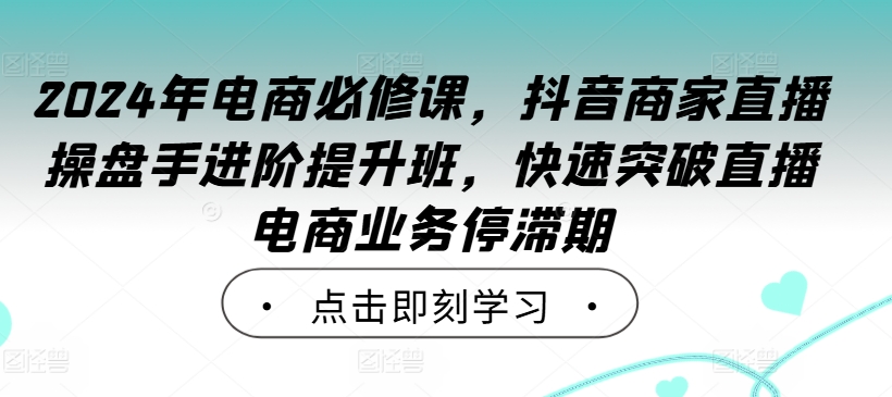 2024年电商必修课，抖音商家直播操盘手进阶提升班，快速突破直播电商业务停滞期-E网资源