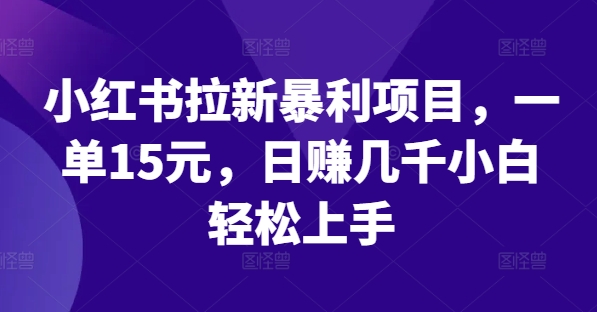 小红书拉新暴利项目，一单15元，日赚几千小白轻松上手【揭秘】-E网资源