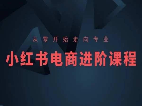 从零开始走向专业，小红书电商进阶课程-E网资源