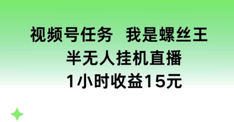视频号任务，我是螺丝王， 半无人挂机1小时收益15元【揭秘】-E网资源