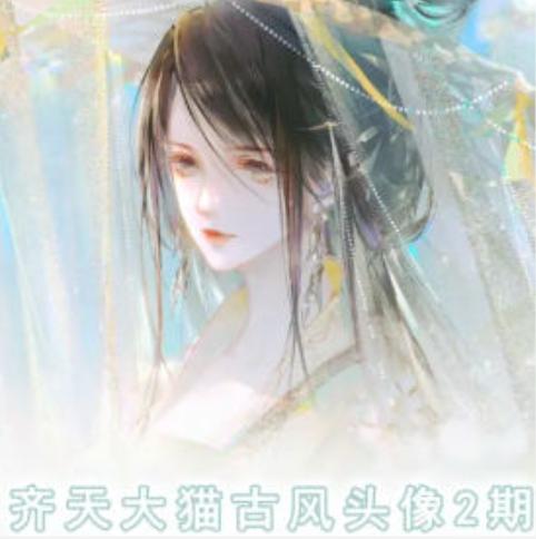 齐天大猫古风头像课第2期，帮助您提高您的绘画技能-E网资源