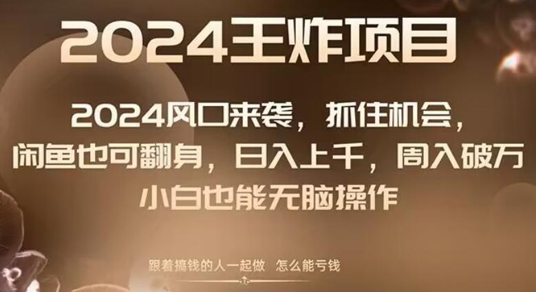 2024风口项目来袭，抓住机会，闲鱼也可翻身，日入上千，周入破万，小白也能无脑操作-E网资源