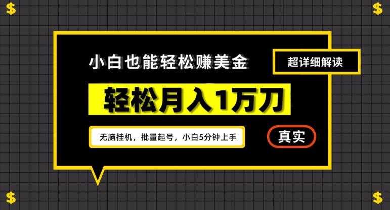 谷歌看广告撸美金2.0，无脑挂机，多号操作，月入1万刀【揭秘】-E网资源