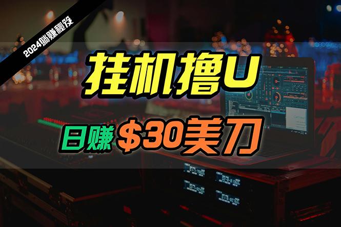 (10013期)日赚30美刀，2024最新海外挂机撸U内部项目，全程无人值守，可批量放大-E网资源