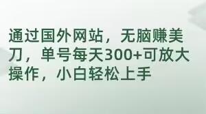 通过国外网站，无脑赚美刀，单号每天300+可放大操作，小白轻松上手【揭秘】-E网资源