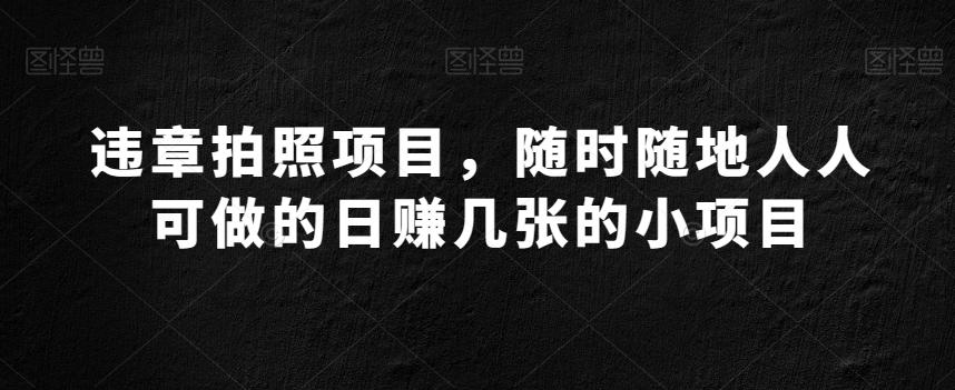 违章拍照项目，随时随地人人可做的日赚几张的小项目-E网资源