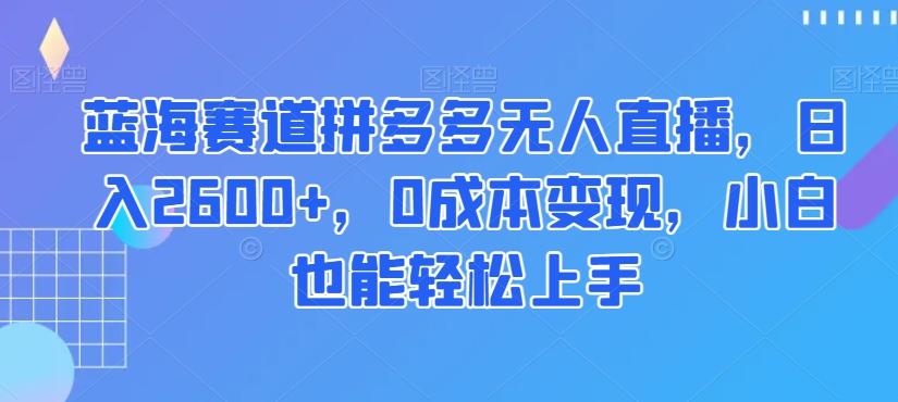 蓝海赛道拼多多无人直播，日入2600+，0成本变现，小白也能轻松上手【揭秘】-E网资源