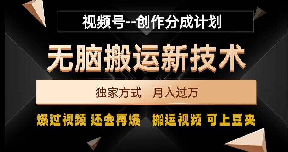 视频号无脑搬运新技术，破原创壕流量，独家方式，爆过视频，还会再爆【揭秘】-E网资源