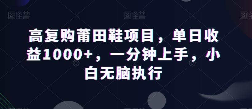 高复购莆田鞋项目，单日收益1000+，一分钟上手，小白无脑执行-E网资源
