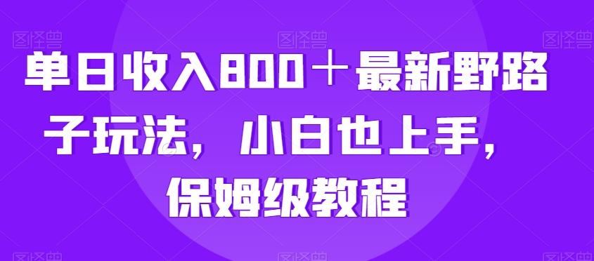 单日收入800＋最新野路子玩法，小白也上手，保姆级教程-E网资源