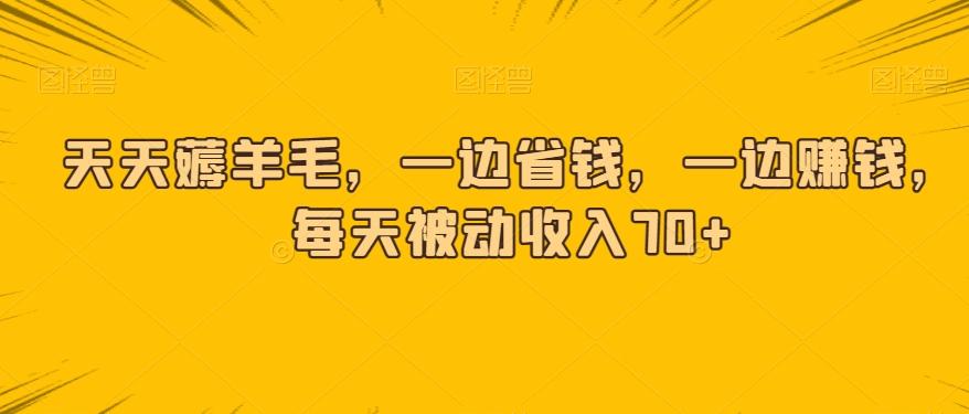 天天薅羊毛，一边省钱，一边赚钱，每天被动收入70+-E网资源