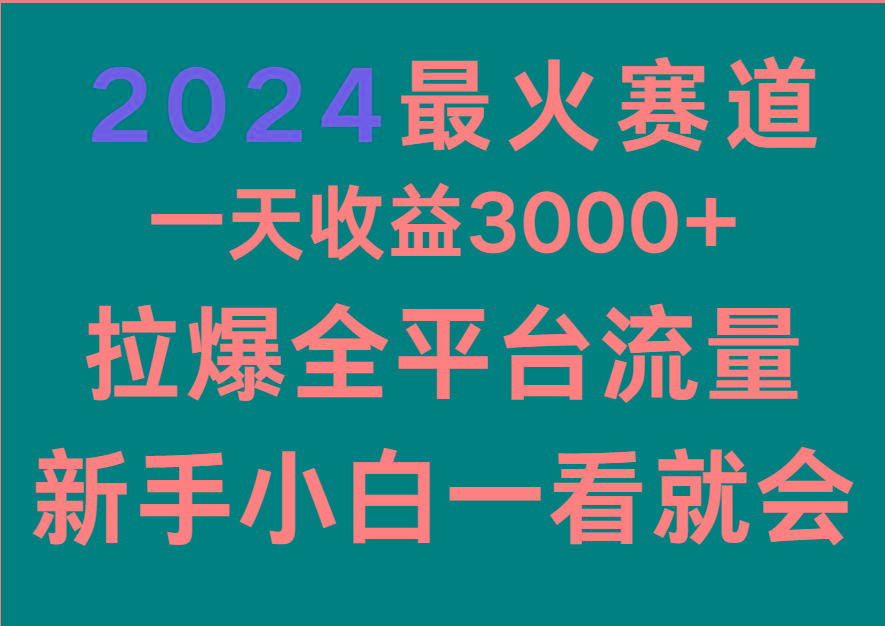 2024最火赛道，一天收一3000+.拉爆全平台流量，新手小白一看就会-E网资源