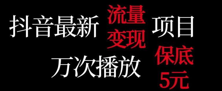 抖音流量变现，万次播放保底5元，额外收入-E网资源