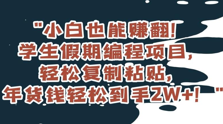 小白也能赚翻！学生假期编程项目，轻松复制粘贴，年货钱轻松到手2W+【揭秘】-E网资源