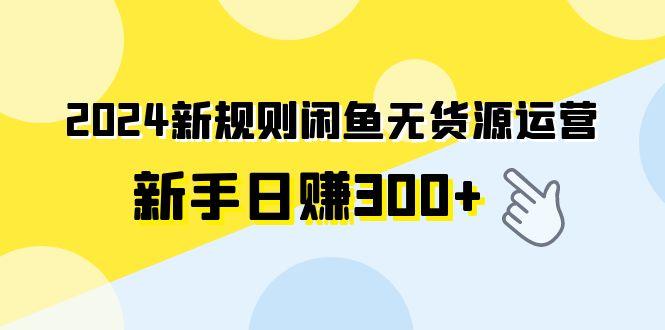 (9522期)2024新规则闲鱼无货源运营新手日赚300+-E网资源