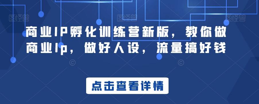 商业IP孵化训练营新版，教你做商业Ip，做好人设，流量搞好钱-E网资源