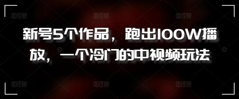 新号5个作品，跑出100W播放，一个冷门的中视频玩法【揭秘】-E网资源