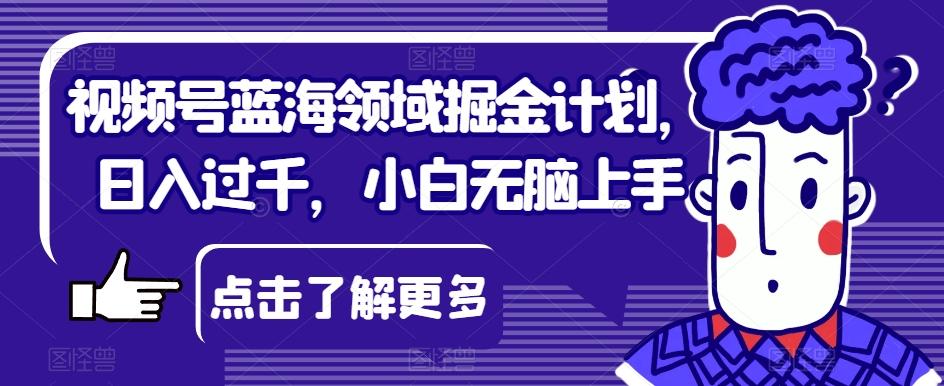 视频号蓝海领域掘金计划，日入过千，小白无脑上手【揭秘】-E网资源