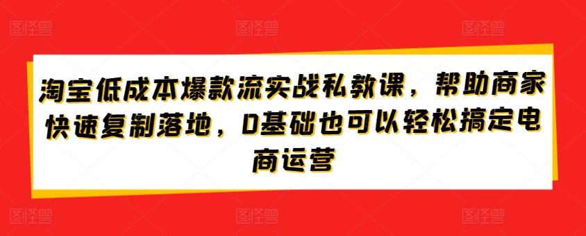 淘宝低成本爆款流实战私教课，帮助商家快速复制落地，0基础也可以轻松搞定电商运营-E网资源
