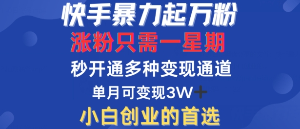 快手暴力起万粉，涨粉只需一星期，多种变现模式，直接秒开万合，单月变现过W【揭秘】-E网资源