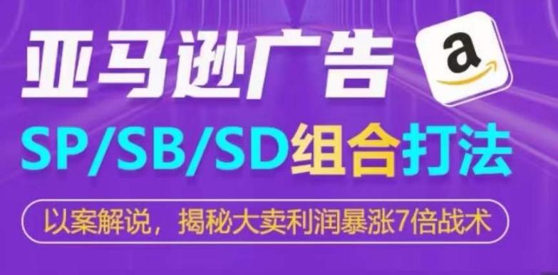 亚马逊SP/SB/SD广告组合打法，揭秘大卖利润暴涨7倍战术-E网资源