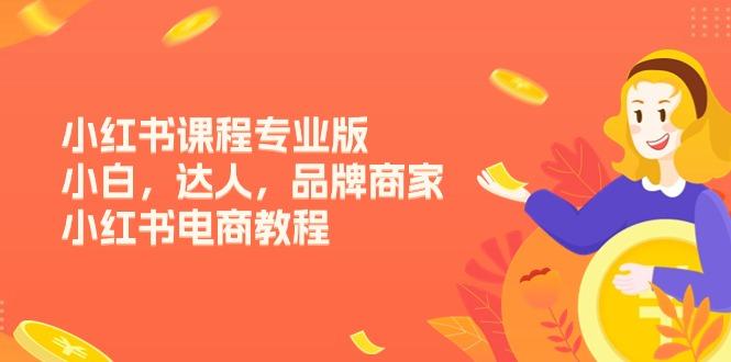 小红书课程专业版，小白，达人，品牌商家，小红书电商教程(15节-E网资源