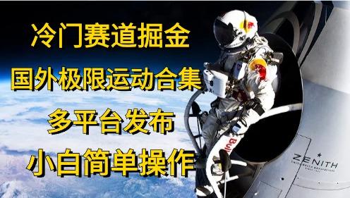 冷门赛道掘金，国外极限运动视频合集，多平台发布，小白简单操作-E网资源