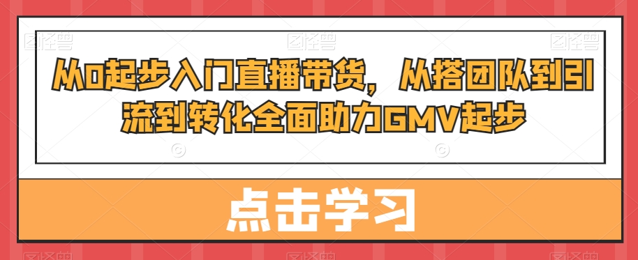 从0起步入门直播带货，​从搭团队到引流到转化全面助力GMV起步-E网资源