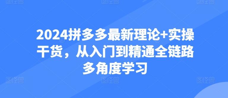 2024拼多多最新理论+实操干货，从入门到精通全链路多角度学习-E网资源