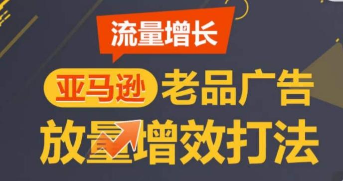 亚马逊流量增长-老品广告放量增效打法，循序渐进，打造更多TOP listing​-E网资源