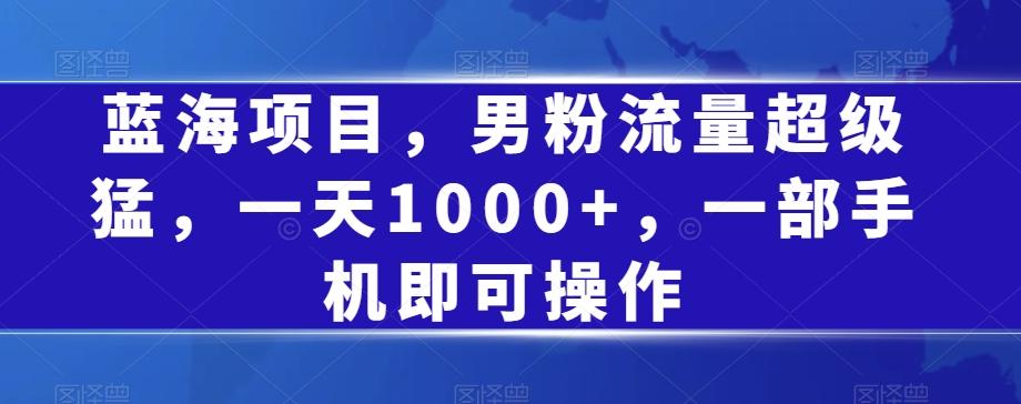 蓝海项目，男粉流量超级猛，一天1000+，一部手机即可操作【揭秘】-E网资源