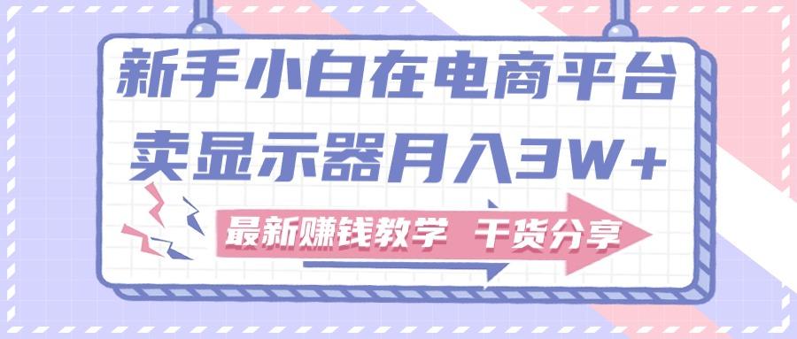 新手小白如何做到在电商平台卖显示器月入3W+，最新赚钱教学干货分享-E网资源