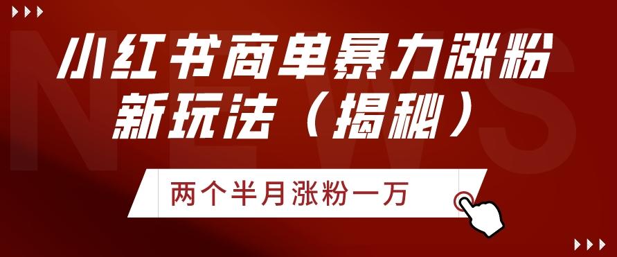 小红书商单暴力涨粉新玩法两个半月涨粉一万（揭秘）-E网资源